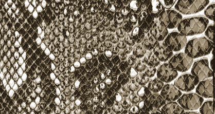Hovedbilde Tolex - Snakeskin